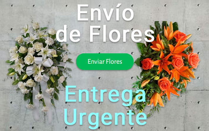 Envio flores difunto urgente a Tanatorio San Fernando